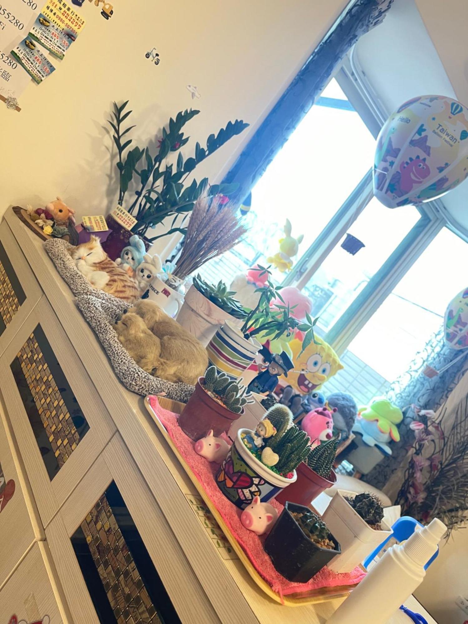צ'ישאנג Holiday Homestay מראה חיצוני תמונה